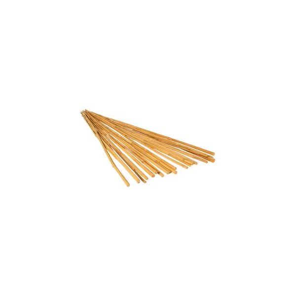 GROW!!T 6' Bamboo Stakes, Natural Color, 25 Pack, Hydrofarm, Mfr#: HGBB6